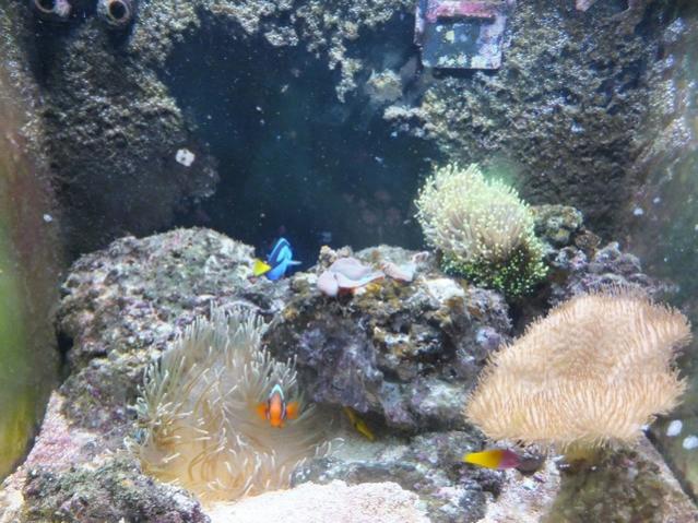 Name:  DSCF0738.jpg
Views: 365
Size:  62.9 KB