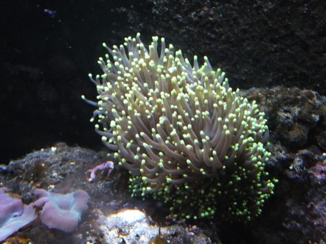 Name:  DSCF0741.jpg
Views: 335
Size:  49.2 KB