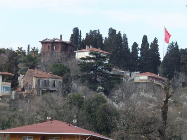 Name:  DSCF0770.jpg
Views: 329
Size:  42.8 KB