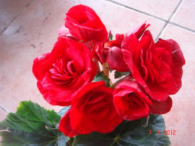 Name:  DSC08953.jpg
Views: 753
Size:  40.4 KB