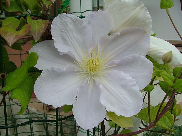 Name:  teekkr.jpg
Views: 4215
Size:  42.7 KB