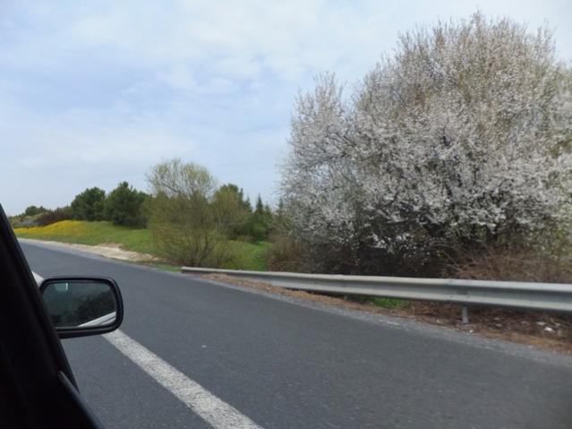 Name:  DSCF1021.jpg
Views: 405
Size:  37.7 KB