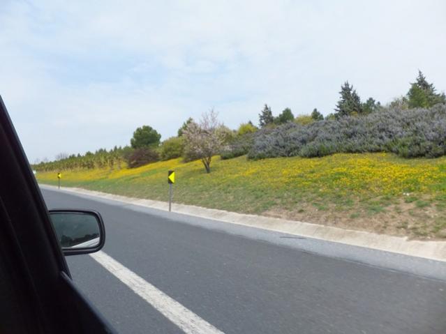 Name:  DSCF1022.jpg
Views: 426
Size:  30.7 KB