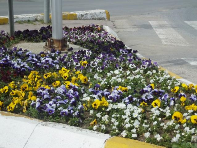 Name:  DSCF1027.jpg
Views: 416
Size:  65.6 KB