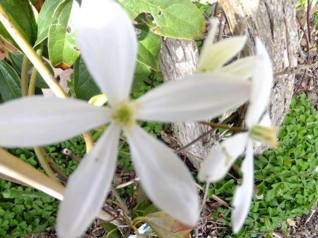 Name:  DSCF1042.jpg
Views: 589
Size:  56.2 KB