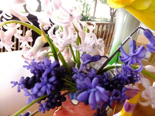 Name:  DSCF1050.jpg
Views: 612
Size:  52.0 KB