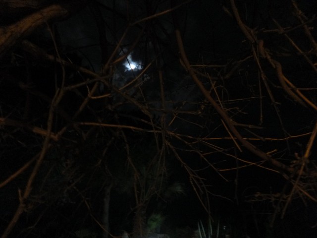 Name:  DSCF1060.jpg
Views: 590
Size:  52.7 KB