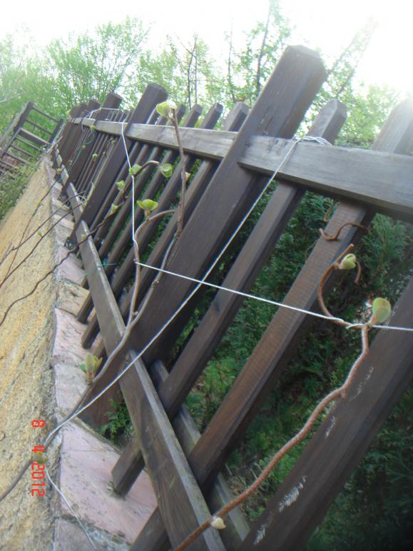 Name:  DSC09142.jpg
Views: 726
Size:  72.9 KB