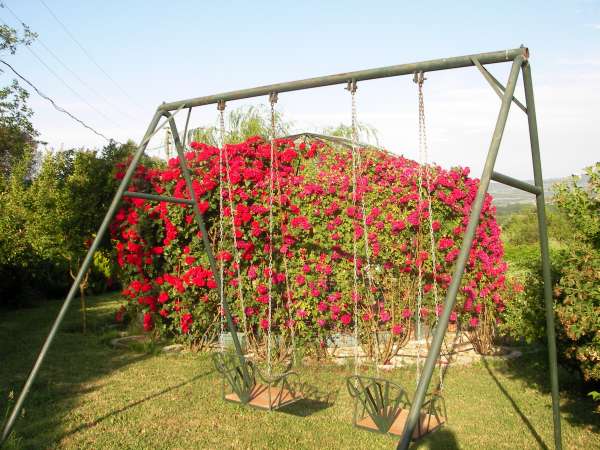 Name:  salncak.jpg
Views: 4376
Size:  66.2 KB