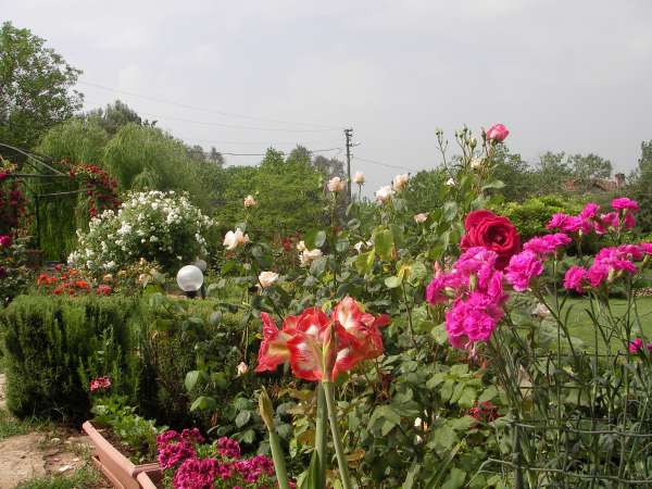 Name:  favoriKopyas Resim 282.jpg
Views: 4130
Size:  62.0 KB