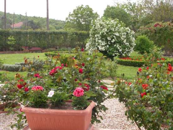 Name:  kartopu.jpg
Views: 4294
Size:  56.8 KB