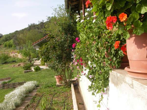 Name:  yalak.jpg
Views: 4550
Size:  64.3 KB