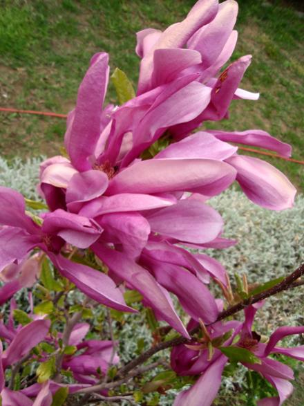 Name:  l.jpg
Views: 1287
Size:  48.3 KB