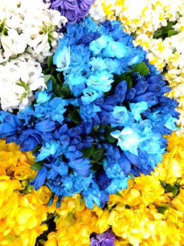 Name:  DSCF0894.jpg
Views: 726
Size:  43.5 KB