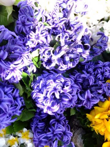 Name:  DSCF0896.jpg
Views: 642
Size:  45.0 KB