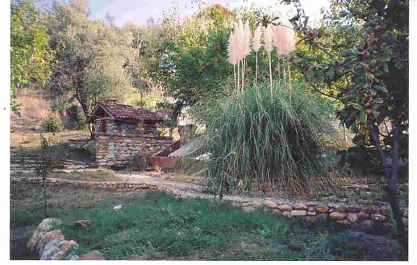 Name:  saz pskl at.jpg
Views: 4275
Size:  58.3 KB