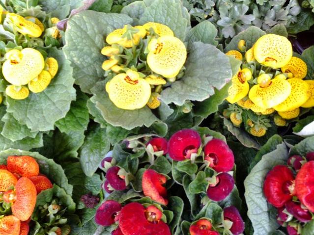 Name:  DSCF0937.jpg
Views: 611
Size:  67.3 KB