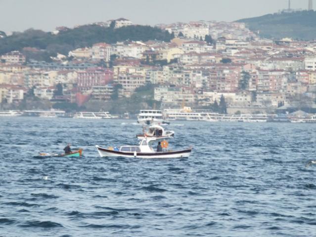 Name:  DSCF0995.jpg
Views: 739
Size:  53.8 KB