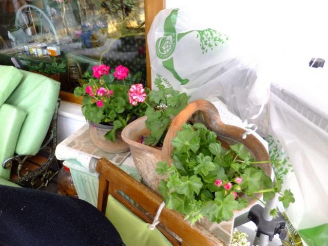Name:  DSCF0793.jpg
Views: 611
Size:  47.9 KB