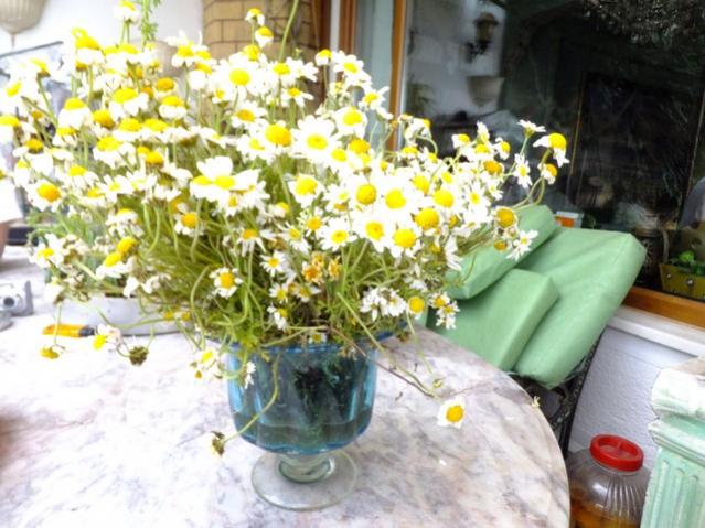 Name:  DSCF0820.jpg
Views: 520
Size:  56.6 KB