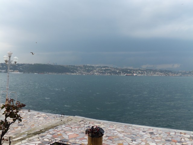 Name:  DSCF0810.jpg
Views: 607
Size:  65.2 KB
