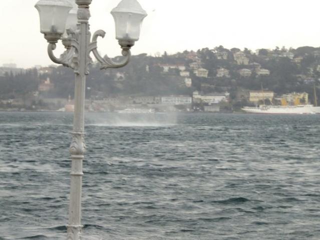 Name:  DSCF0822.jpg
Views: 533
Size:  39.7 KB
