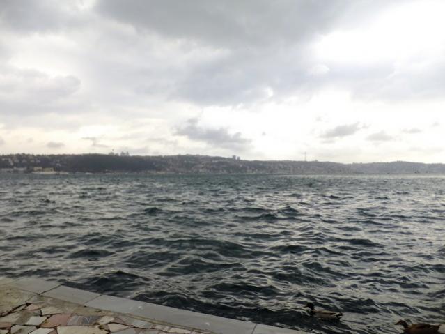 Name:  DSCF0827.jpg
Views: 511
Size:  39.0 KB