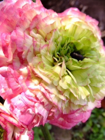Name:  DSCF0845.jpg
Views: 779
Size:  60.4 KB