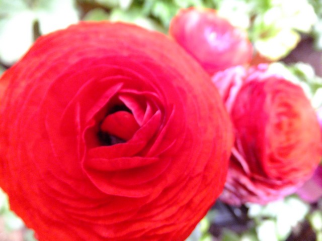 Name:  DSCF0851.jpg
Views: 528
Size:  62.0 KB