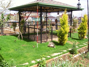 Name:  SNC18150.JPG
Views: 547
Size:  58.0 KB