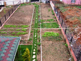 Name:  SNC18143.JPG
Views: 530
Size:  56.6 KB