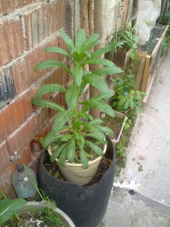Name:  200420122220.jpg
Views: 843
Size:  72.7 KB