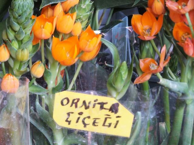 Name:  DSCF1258.jpg
Views: 655
Size:  51.0 KB