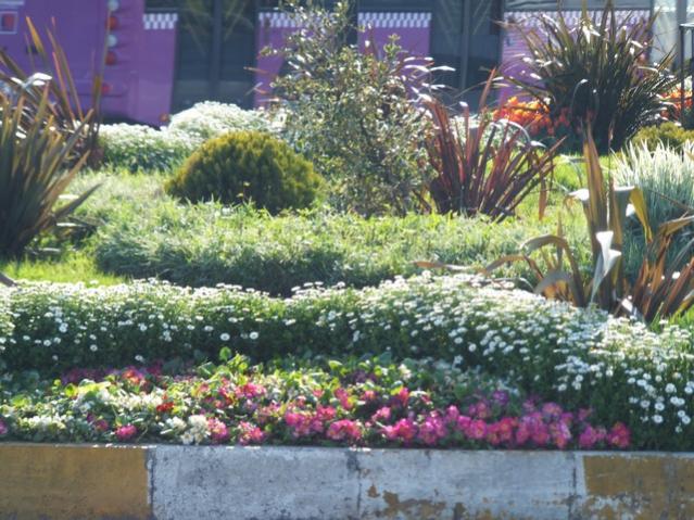Name:  DSCF1264.jpg
Views: 689
Size:  70.0 KB