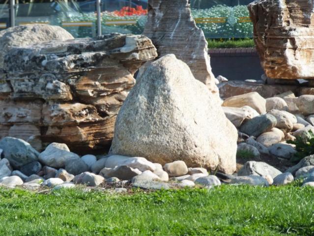 Name:  DSCF1265.jpg
Views: 663
Size:  66.4 KB