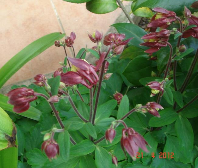 Name:  DSC09512.jpg
Views: 891
Size:  48.8 KB