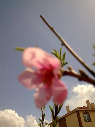 Name:  16.jpg
Views: 1445
Size:  18.2 KB