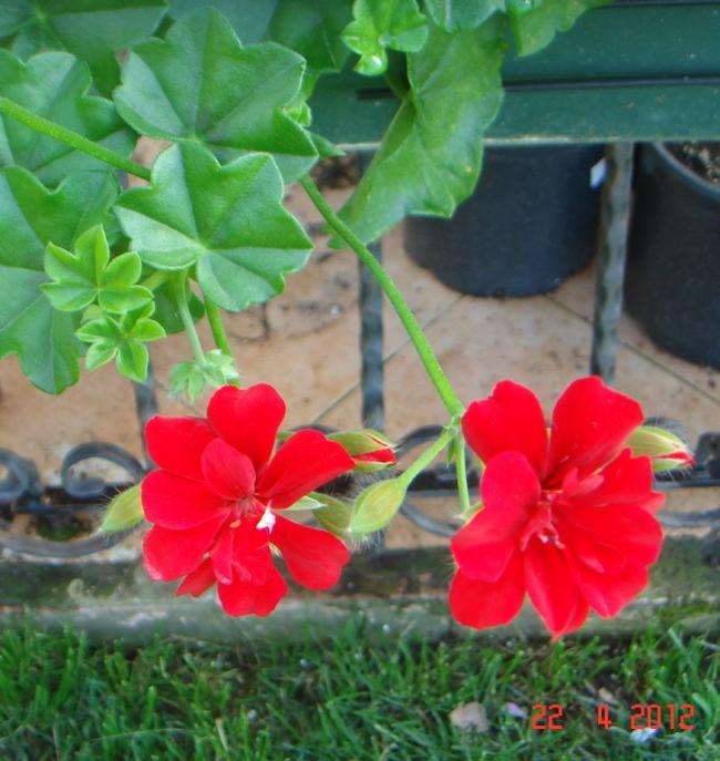 Name:  DSC09699.jpg
Views: 948
Size:  60.4 KB