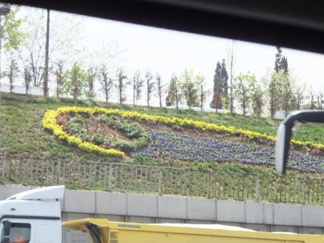 Name:  DSCF1363.jpg
Views: 661
Size:  52.0 KB