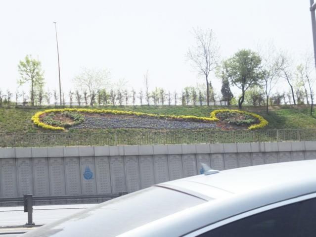 Name:  DSCF1364.jpg
Views: 646
Size:  36.8 KB