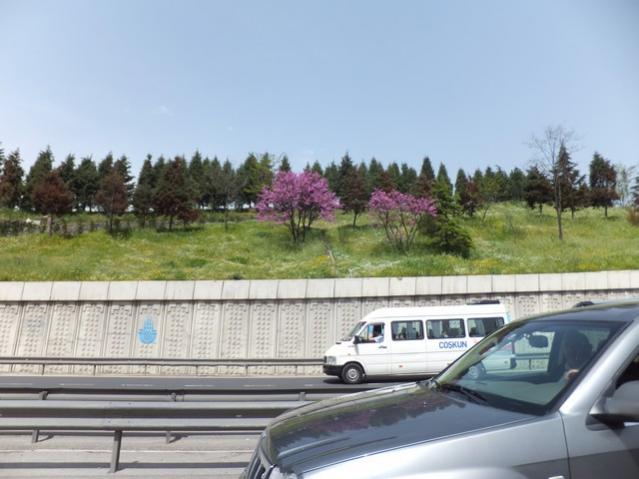 Name:  DSCF1369.jpg
Views: 636
Size:  42.2 KB
