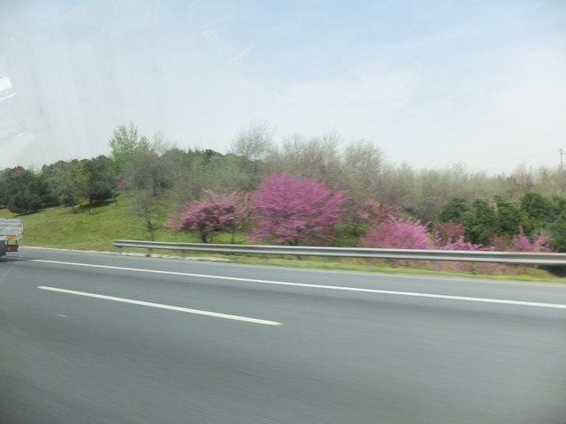 Name:  DSCF1370.jpg
Views: 631
Size:  52.8 KB