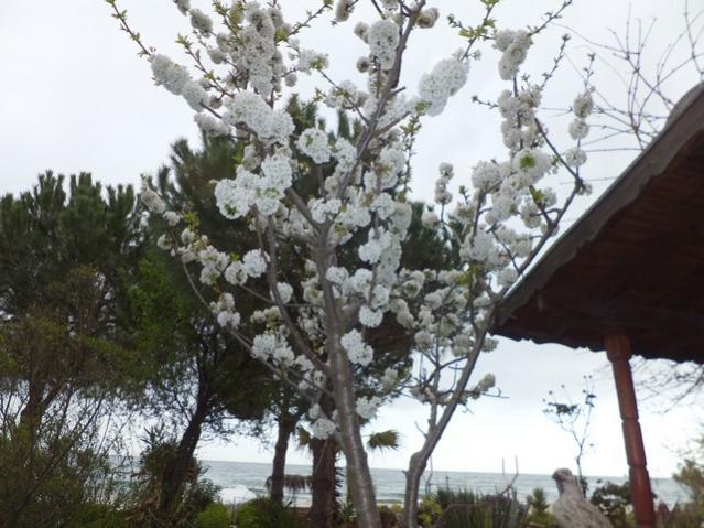 Name:  DSCF1375.jpg
Views: 677
Size:  57.3 KB