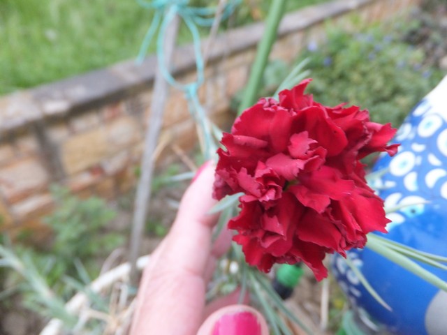 Name:  DSCF1380.jpg
Views: 465
Size:  67.0 KB