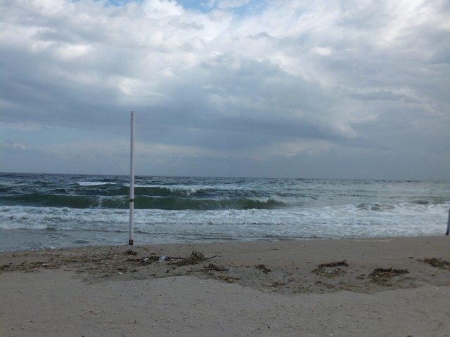 Name:  DSCF1398.jpg
Views: 457
Size:  63.3 KB