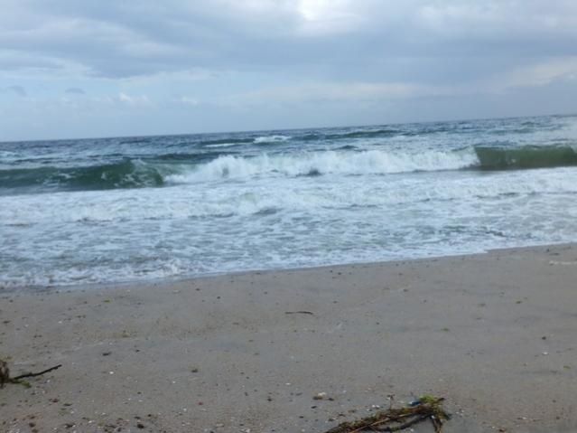 Name:  DSCF1399.jpg
Views: 400
Size:  32.2 KB