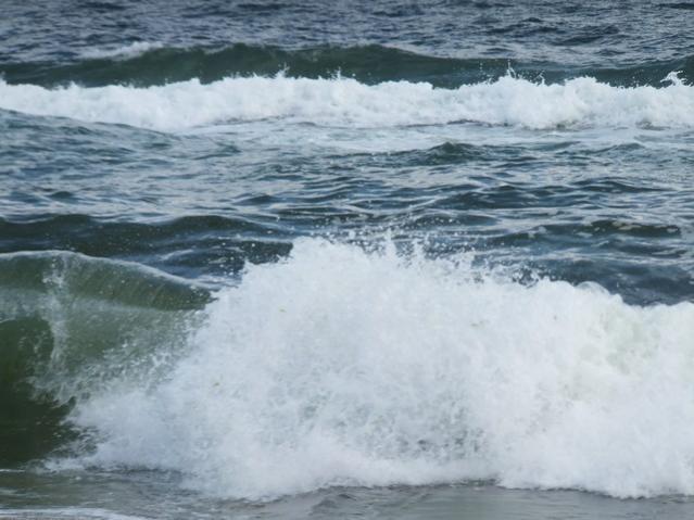Name:  DSCF1404.jpg
Views: 417
Size:  44.0 KB