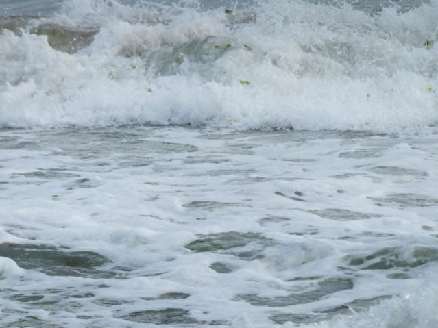 Name:  DSCF1407.jpg
Views: 844
Size:  37.3 KB
