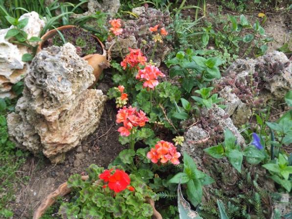 Name:  DSCF1414.jpg
Views: 447
Size:  72.0 KB