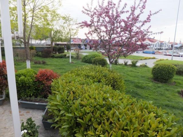 Name:  DSCF1472.jpg
Views: 421
Size:  62.3 KB